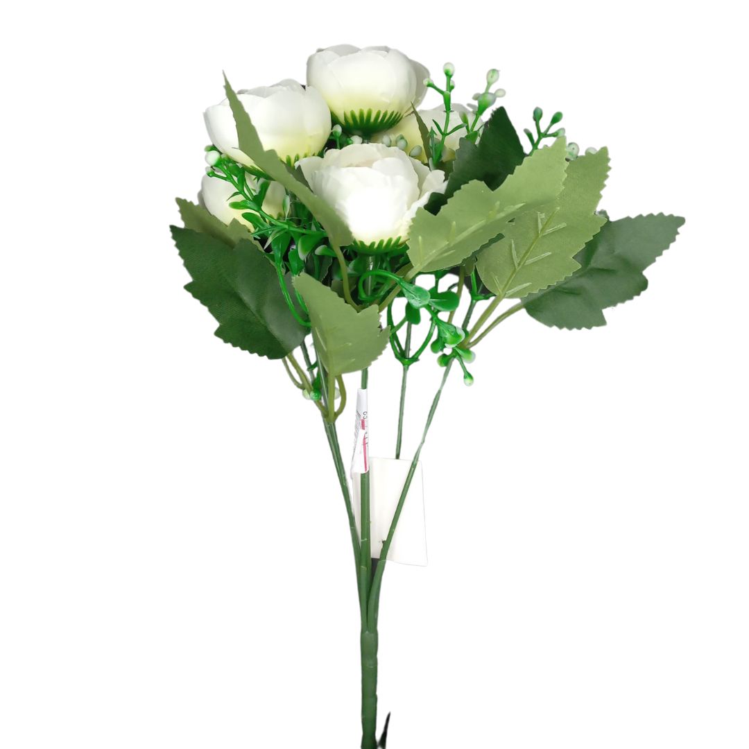 BQ Rosa MG2640 - Image 2