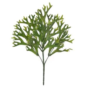F.Chifre De Veado Plt. X25 (Verde) 33Cm (Florarte)