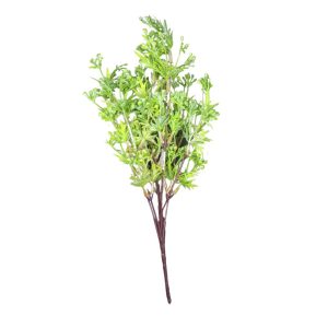 Bq Exequisete Frutinhas Verde X7 Mg880