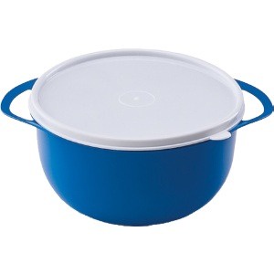 Bacia Com Tampa 1,2L