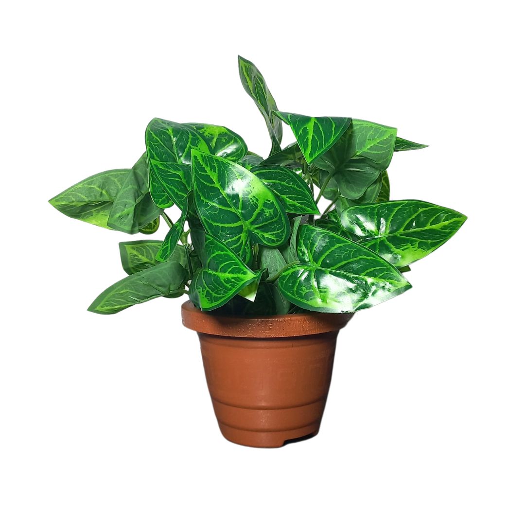 Vaso Redondo Pp 650 Ml – Terra Cota