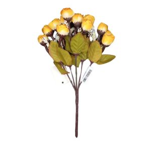 Bq Rosa Rugosa X5 MG443